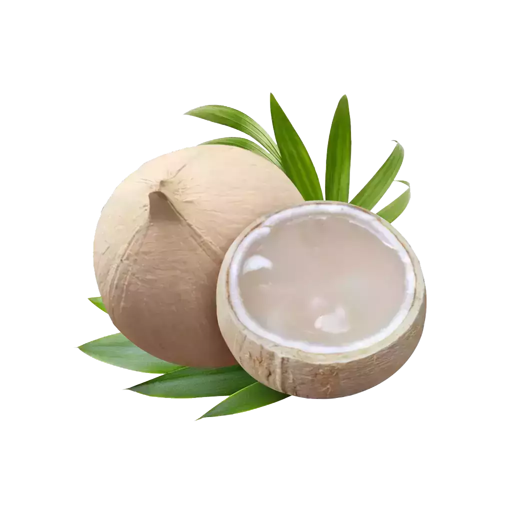 Coconut