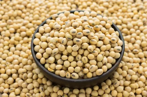 Soybeans
