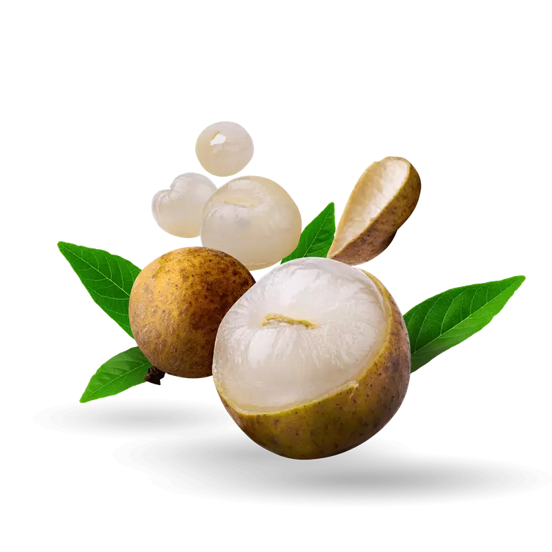 Longan