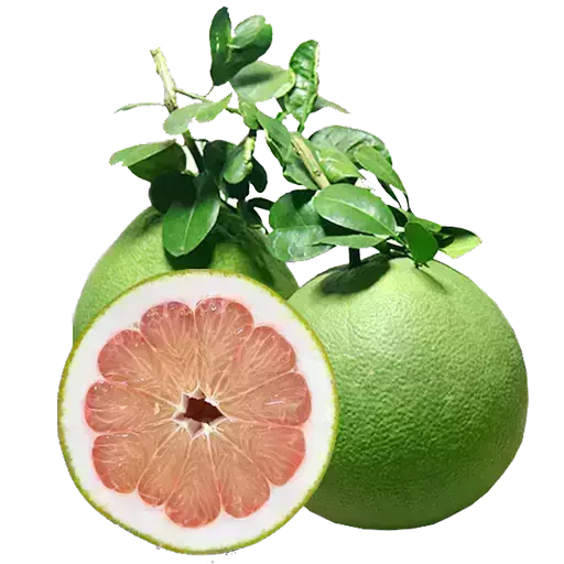 Pomelo